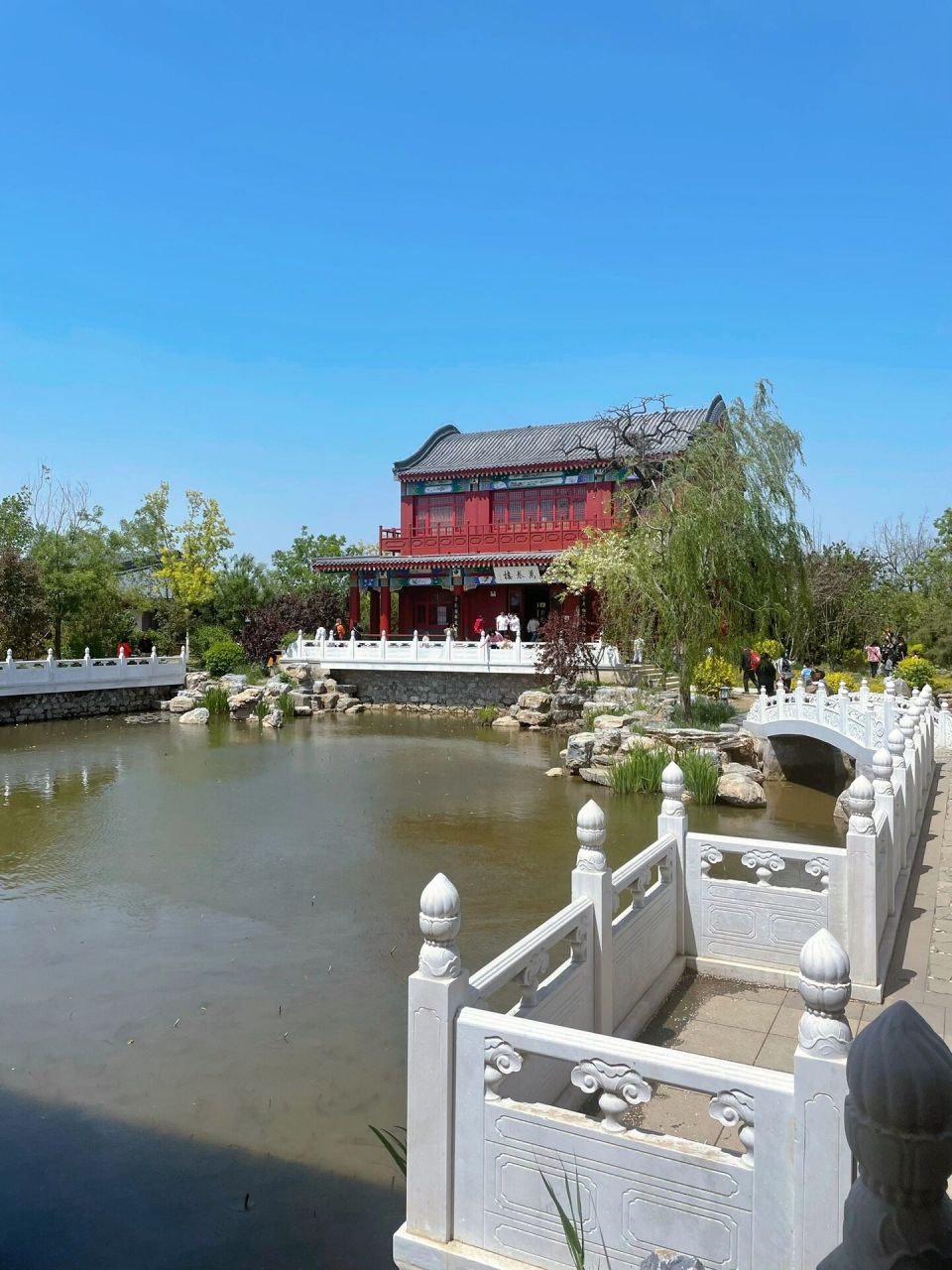 雄安郊野公园一日游 从保定市区到公园一个多小时的车程,是周边市民们