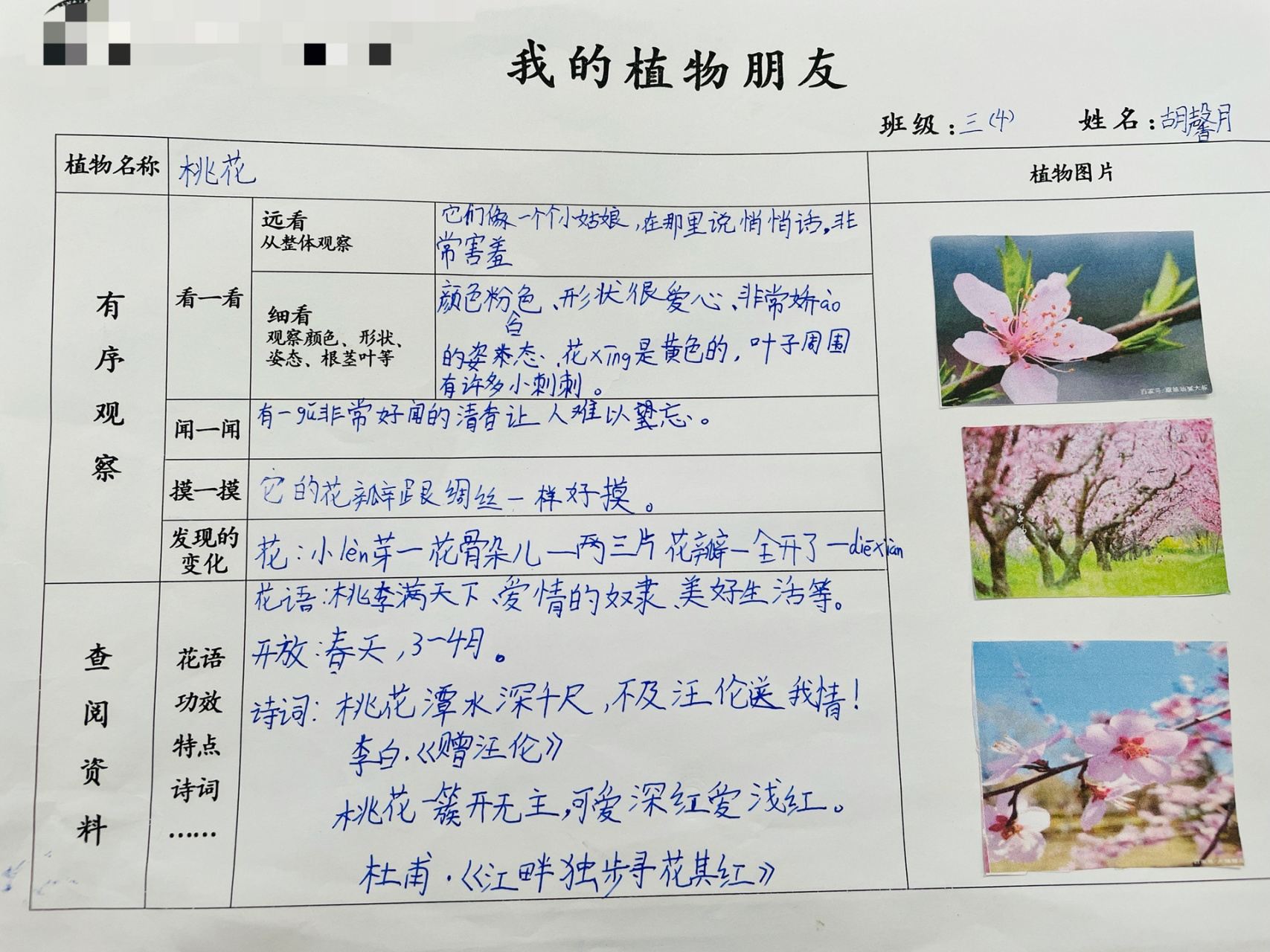 《我的植物朋友》记录卡 三年级下册一单元习作 周末去大自然感受美好