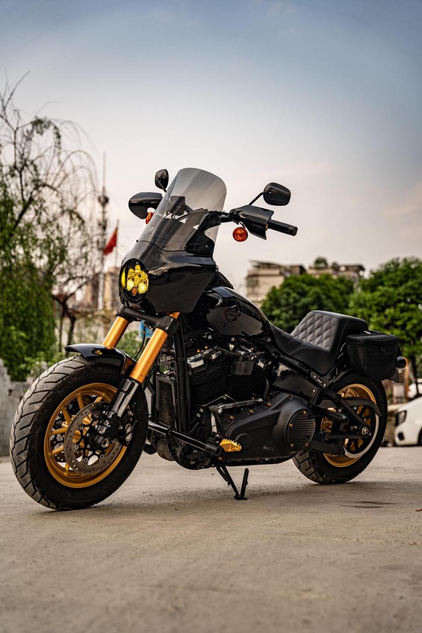 哈雷肥霸club style改装.