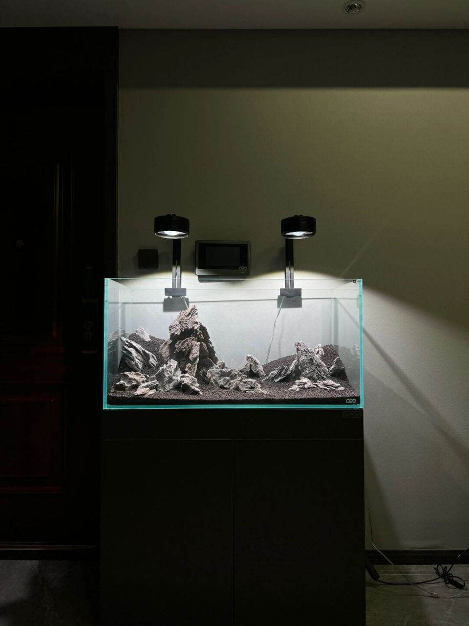 ada超级简单经典的—"青龙石造景" 马上出教学 家人们等一等#养鱼