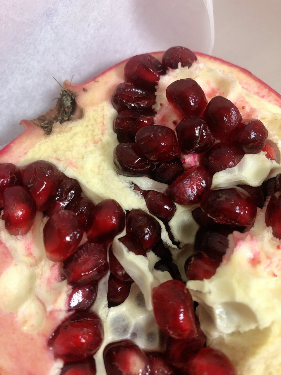 这个石榴裂开了,还能吃吗? 看上去不光滑,有小点