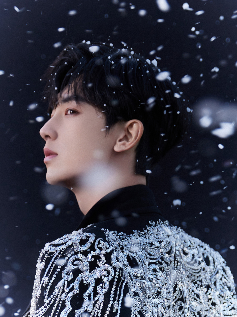 郭俊辰超话 雪落无声,铺陈万千星辉;星光熠熠,定格华彩时刻.