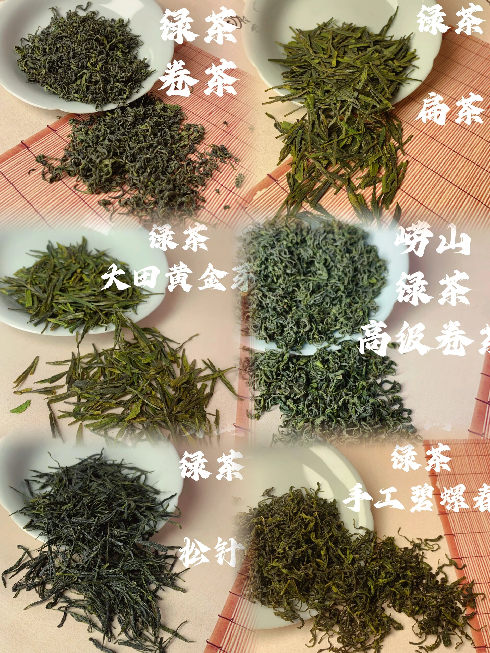 正宗青岛崂山绿茶口感好61味道独特 青岛61崂山茶 95 在山海间