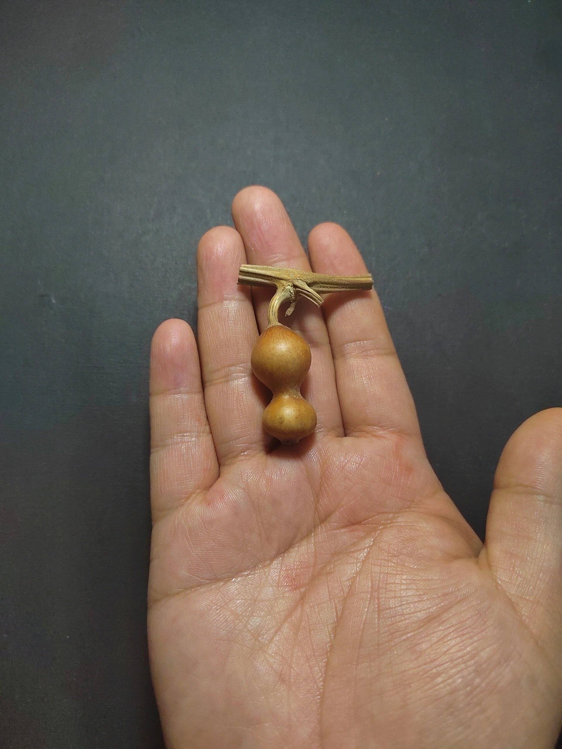 没打皮的纯天然老皮草里金葫芦有种独特的美 龙头龙须都很酷,6个一组