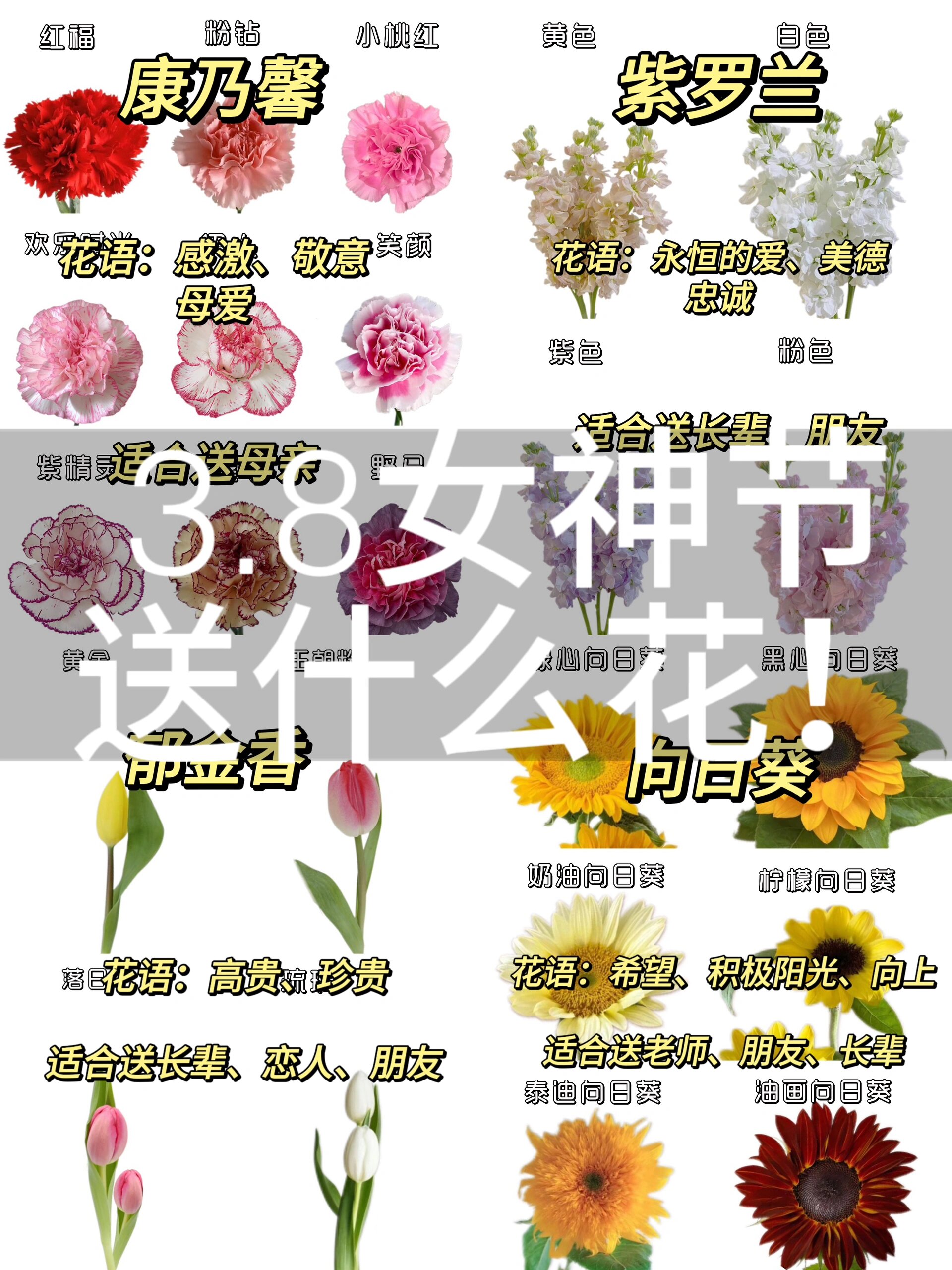 妇女节鲜花文案图片