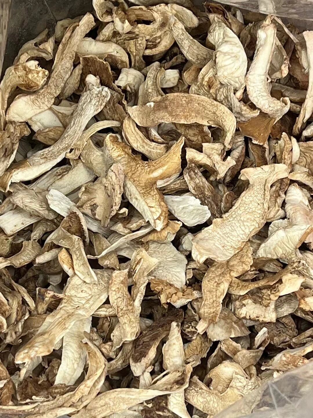 野生松茸～ 松茸,又名青岗菌