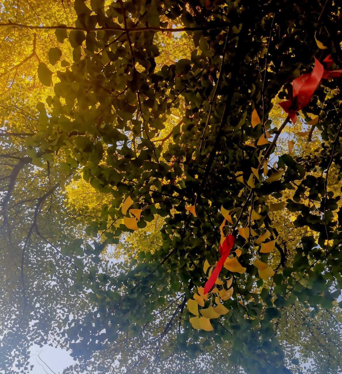 唐山遵化禅林寺