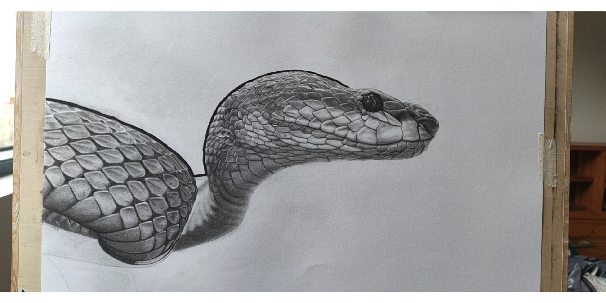 盘蛇素描图片