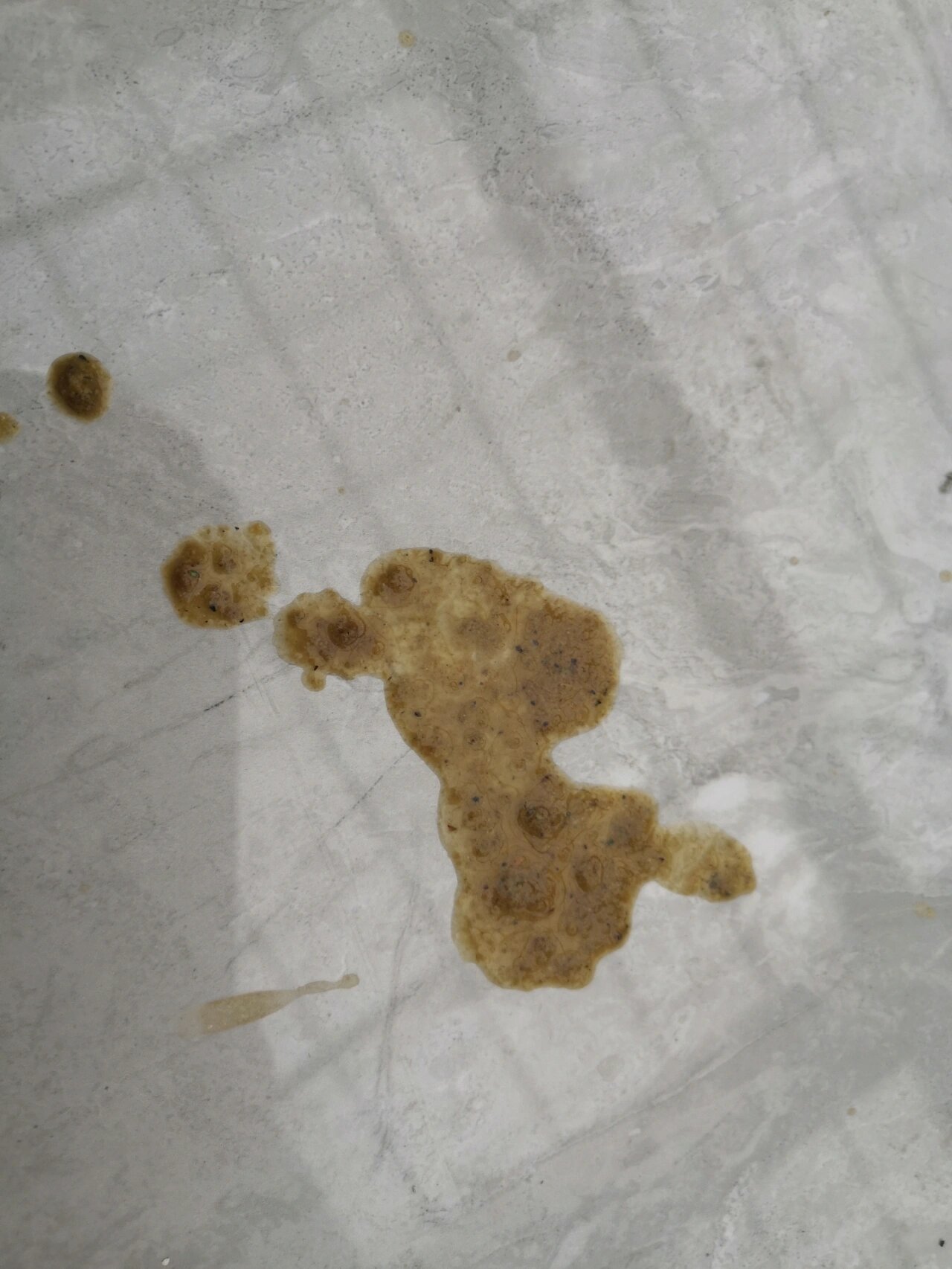 小鸭子这个粪便正常吗