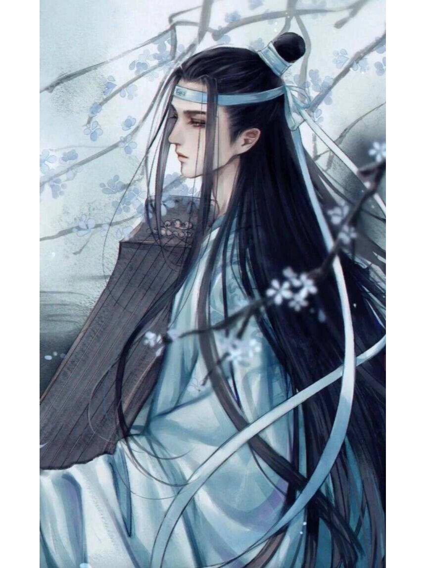魔道祖师蓝忘机