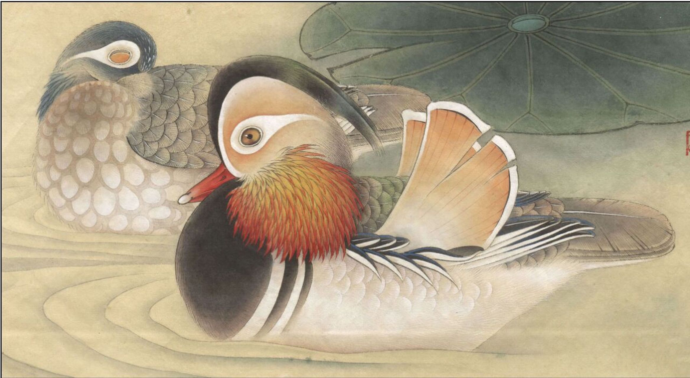 工笔画步骤分享(鸟类设色步骤——鸳鸯) 概述:鸳鸯是亚洲的一种亮斑冠