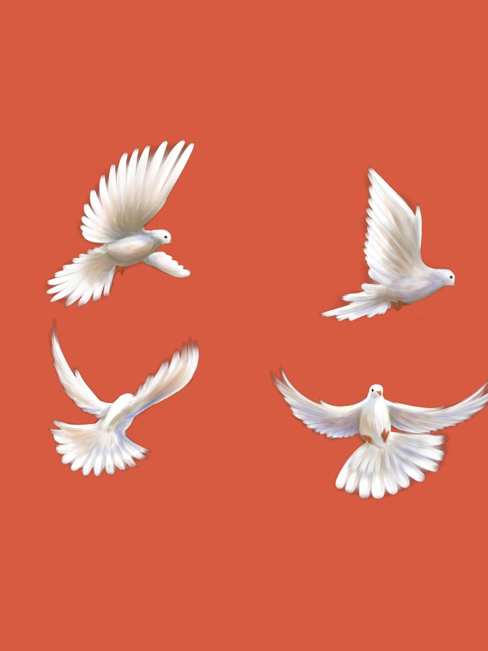 和平鸽‖国庆必备白色和平鸽手绘免抠素材② 9415941594