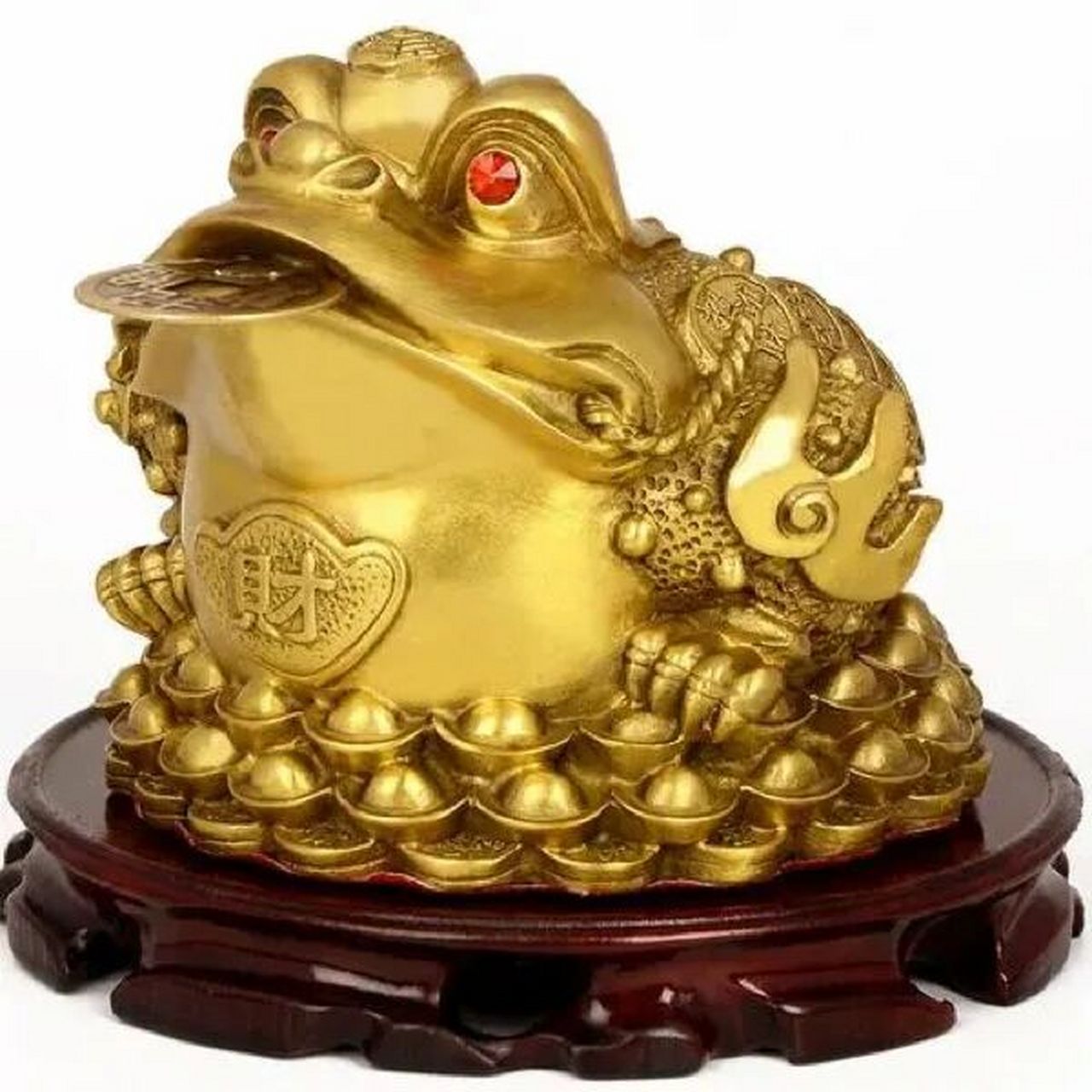 金蟾是非常常见的风水摆件,有提升财运的用途,只有摆放正确的金蟾