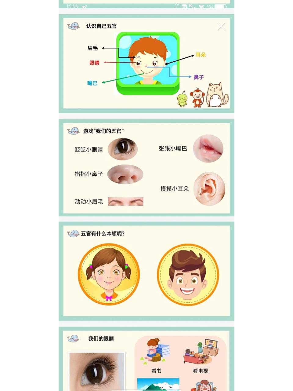 幼儿园教案 ppt 《认识五官》