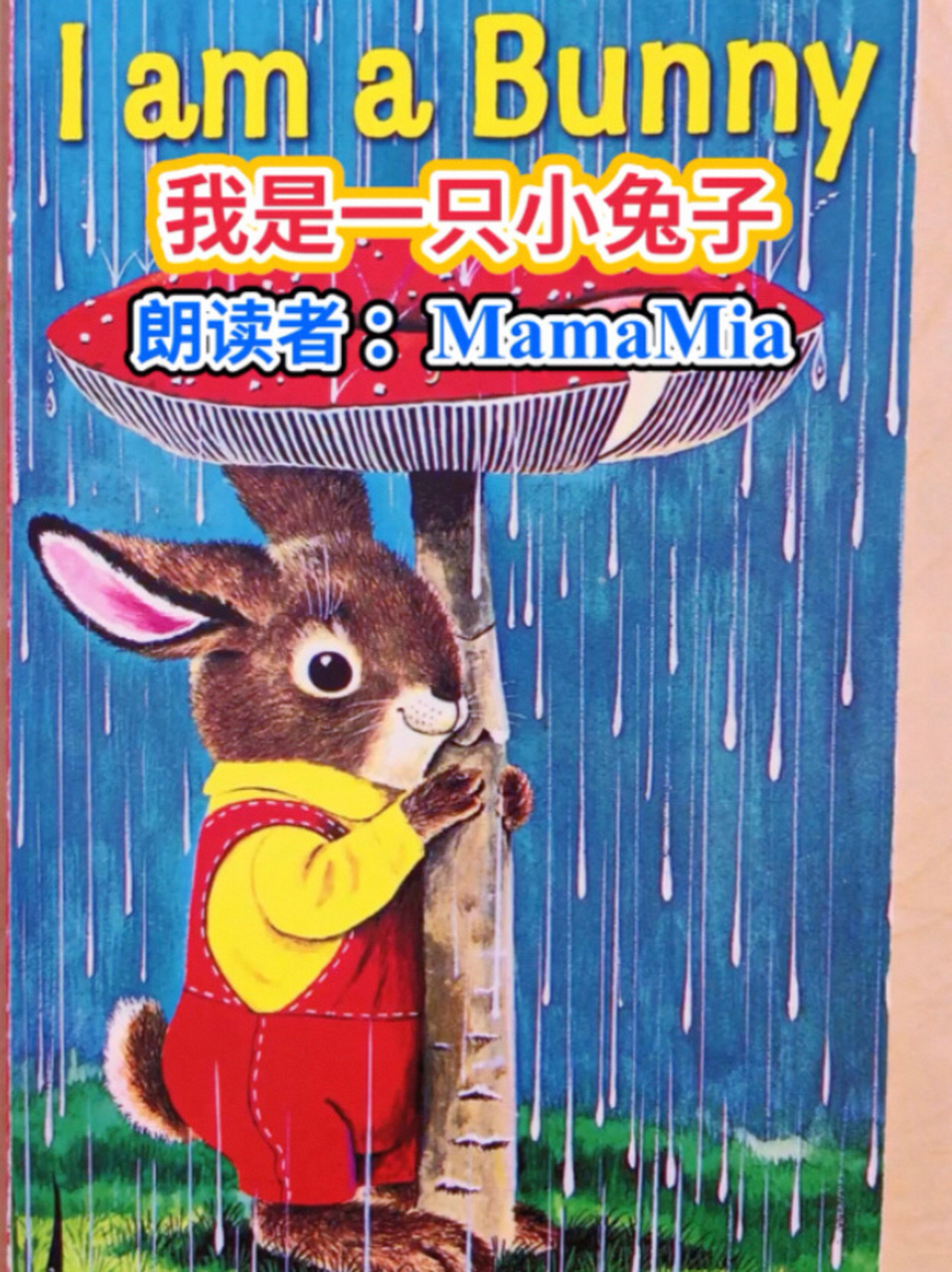 经典英文绘本朗读|i am a bunny双语启蒙 这本是从小月龄就可以给宝宝