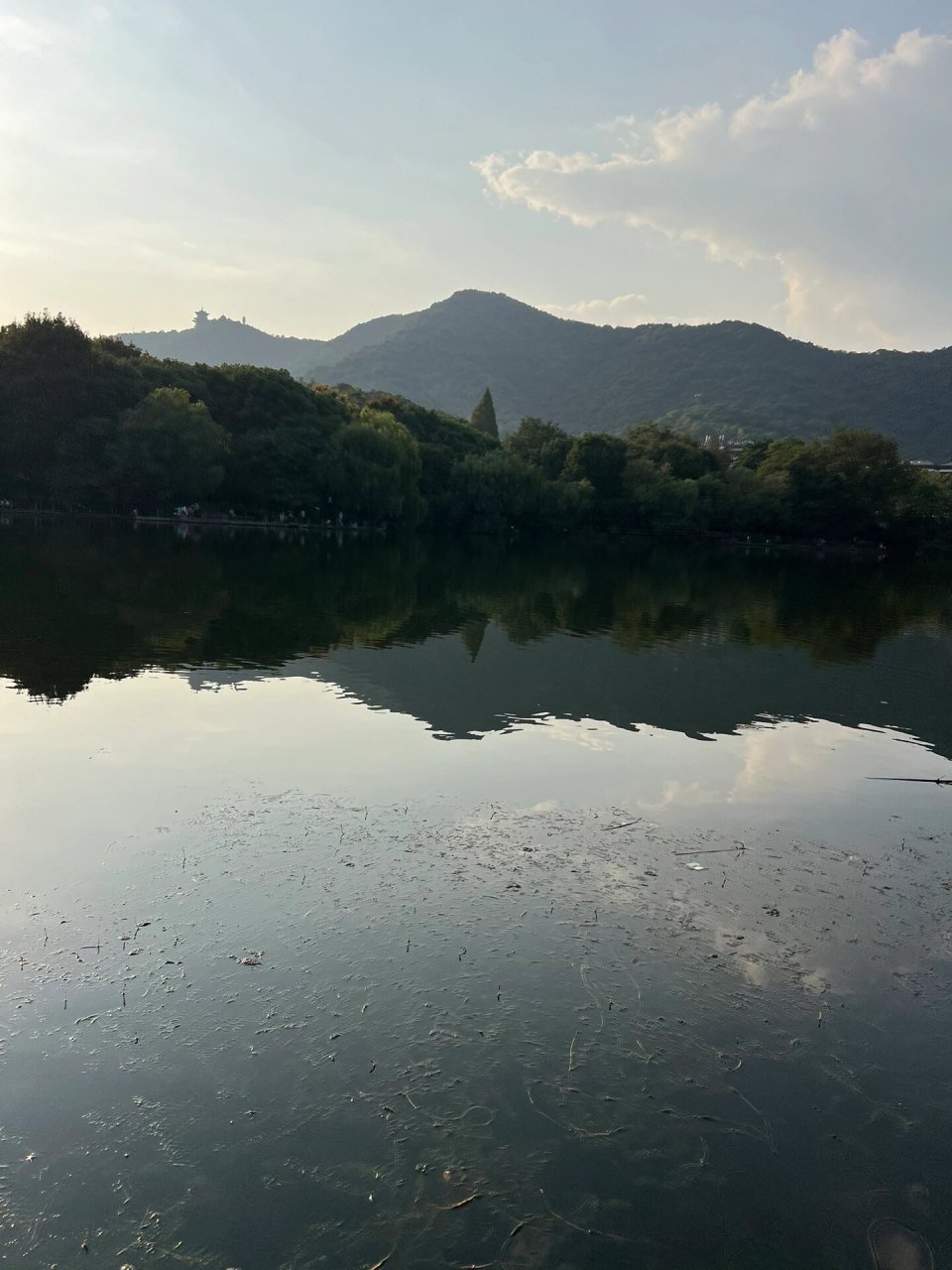 杭州遛娃之半山虎山公园 导航虎山水库,可以捞鱼,玩水枪,带上防蚊喷雾
