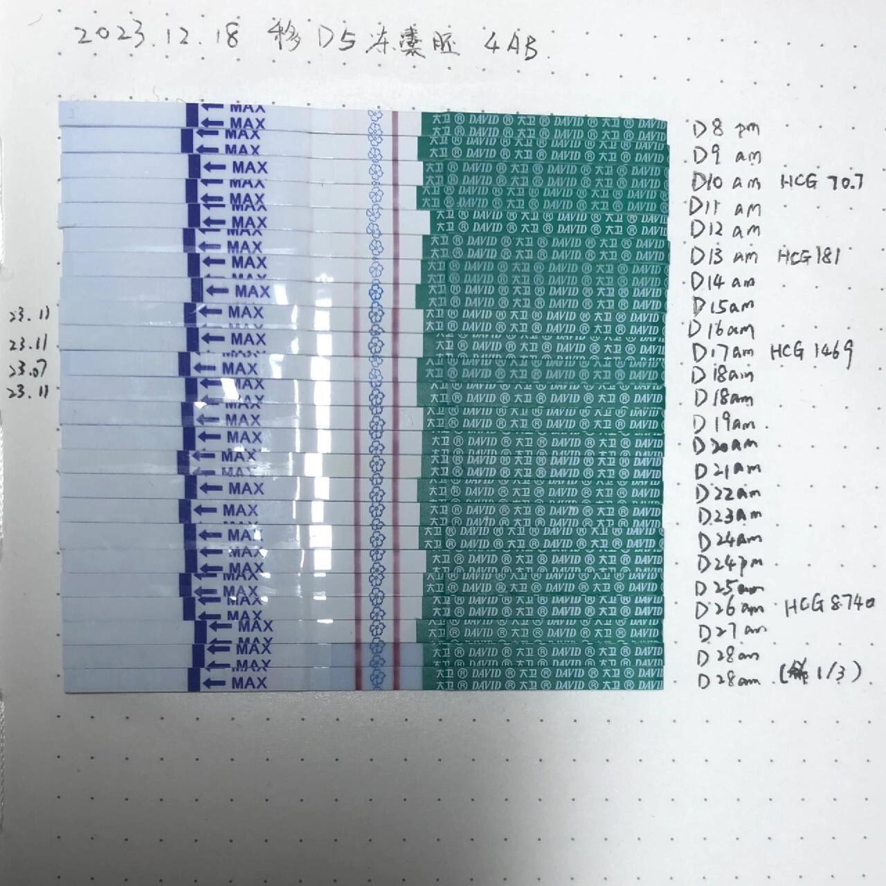 移植后试纸变化图图片