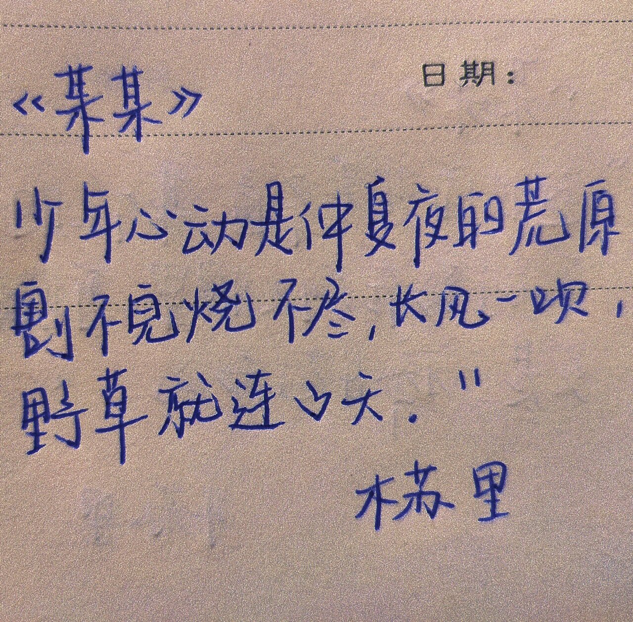 某某/手写/原耽语录