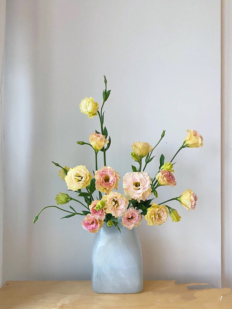 98花艺笔记——花中宠儿洋桔梗  02历史02 洋桔梗又名草原龙胆