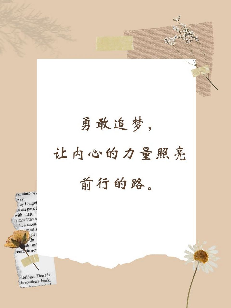 女人励志有深度有品味的句子 99 女人如花,不仅绽放美丽,更需积累