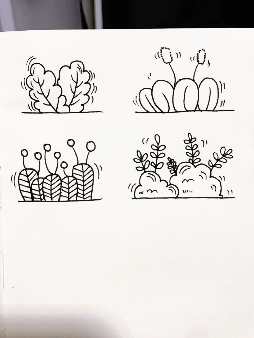 画画203|简笔画|植物篇——小草02 适合新手临摹 容易下手简单简笔