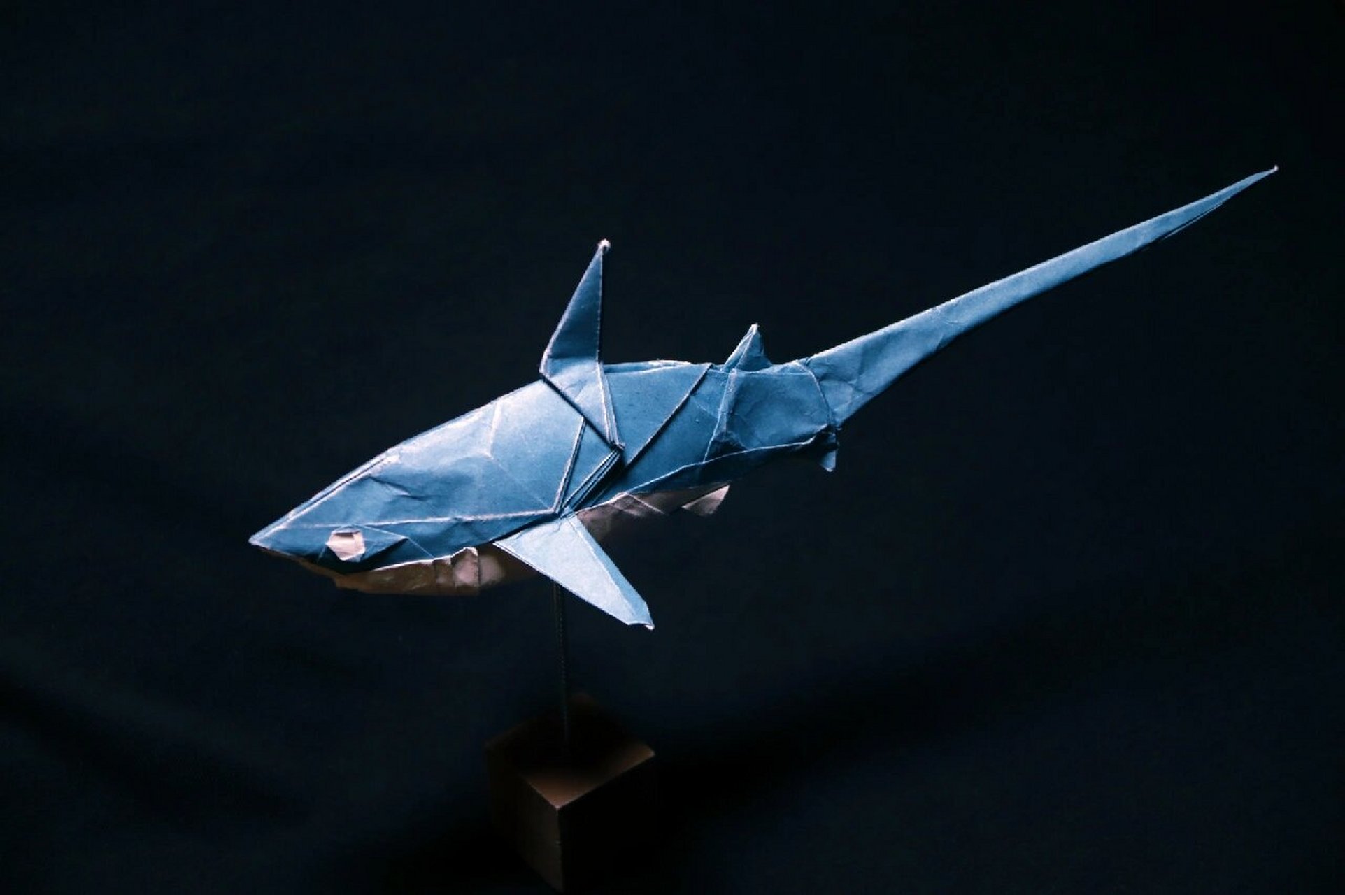 鲨鱼纸飞机怎么折图片
