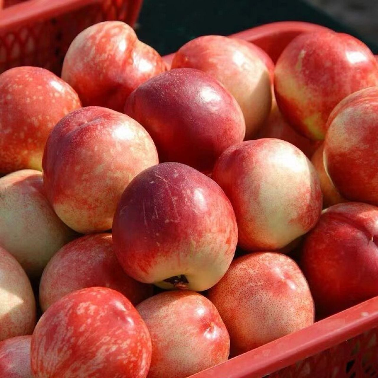 桃子现在种类是最全的时候了 好吃的桃子全部下来了,尤其是新疆的小桃