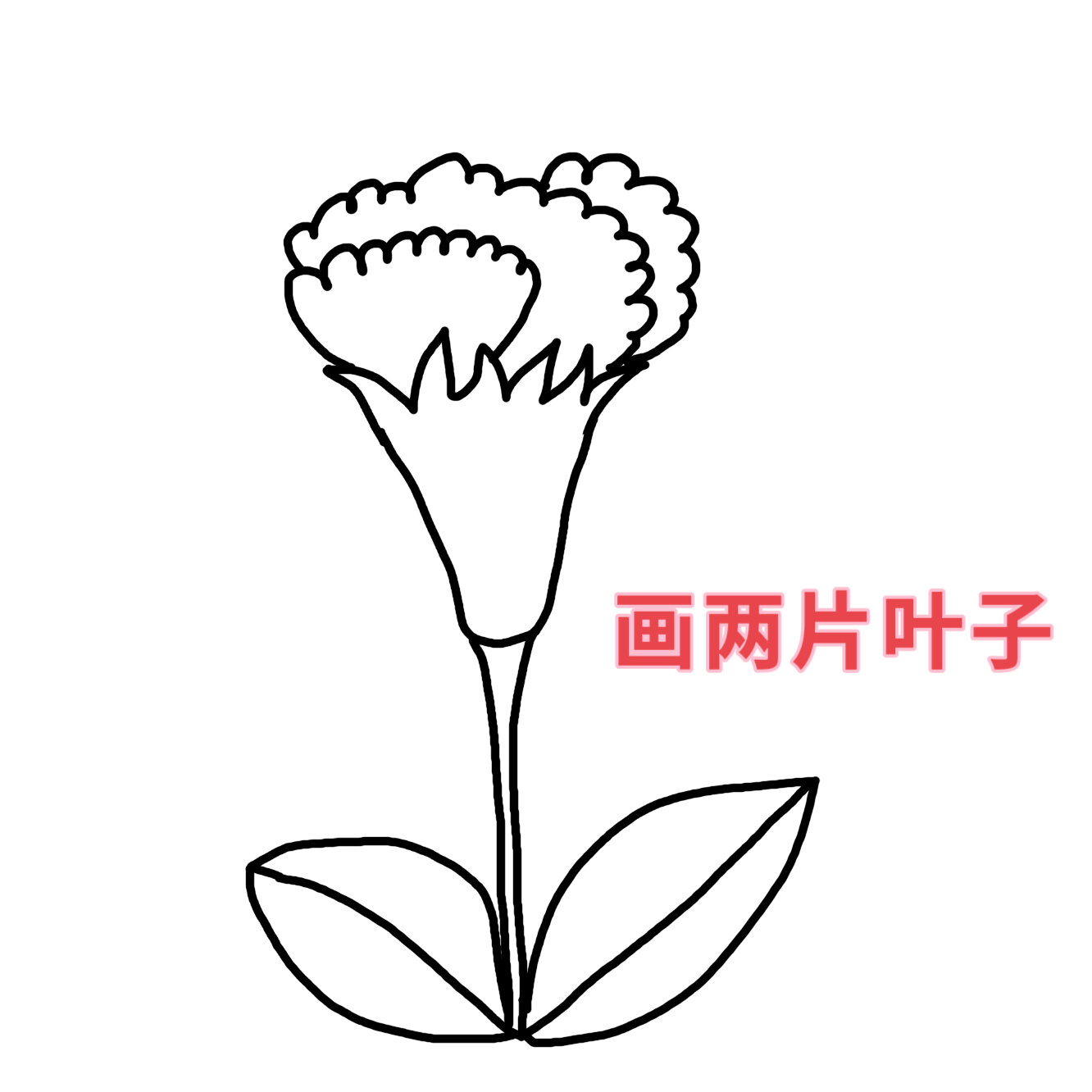 石榴花的画简笔画图片