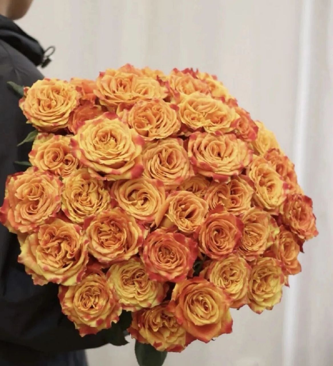 今日识花:爱马仕橙—欢乐颂玫瑰 今天带大家认识的是橙色调玫瑰中的