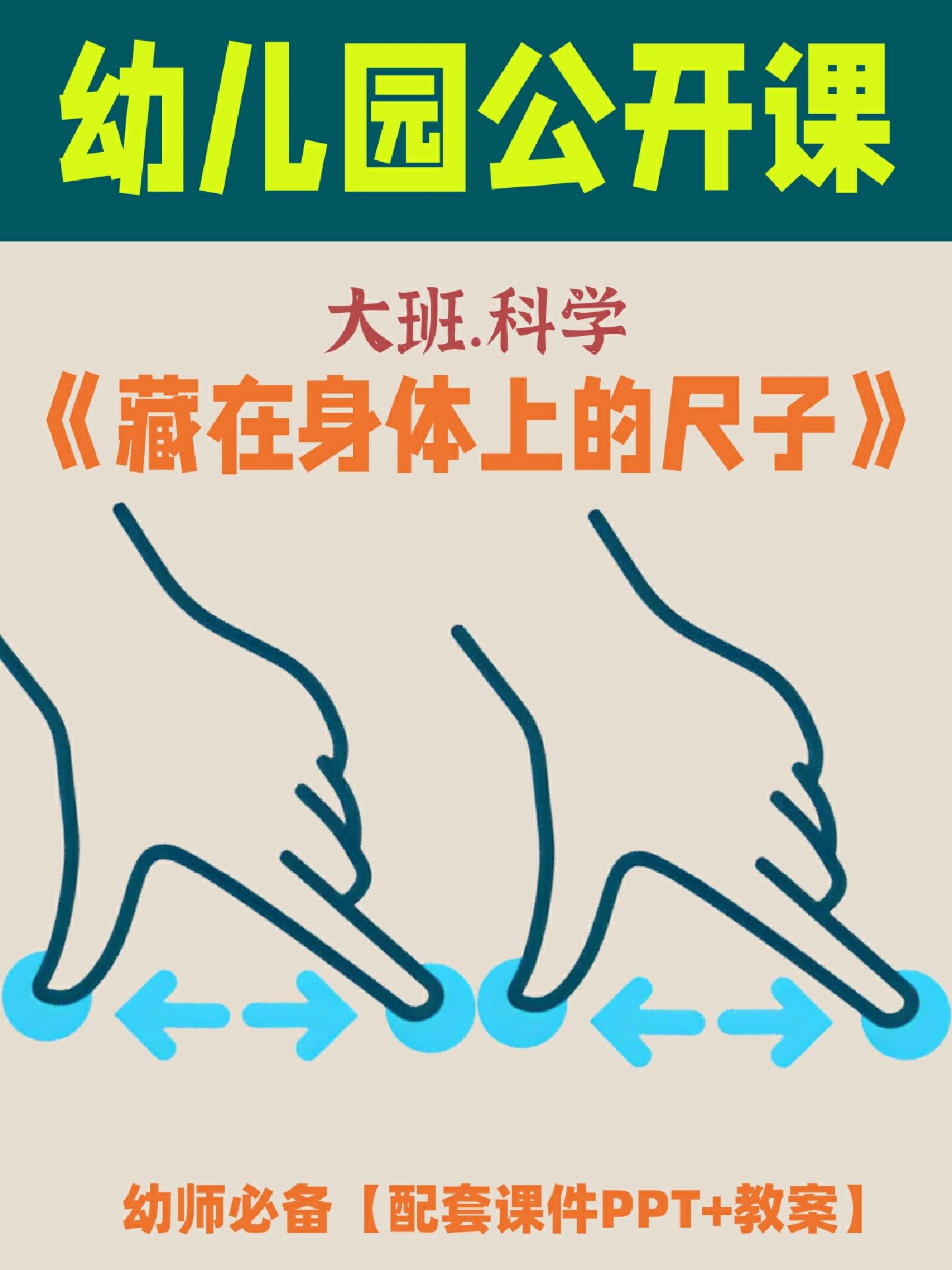 码住!幼儿园大班科学《藏在身体上的尺子》