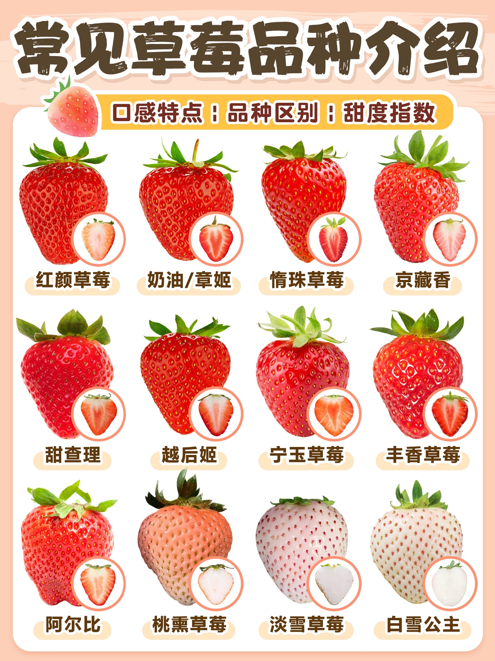 草莓品种说明书91区别口感|阳台草莓种植