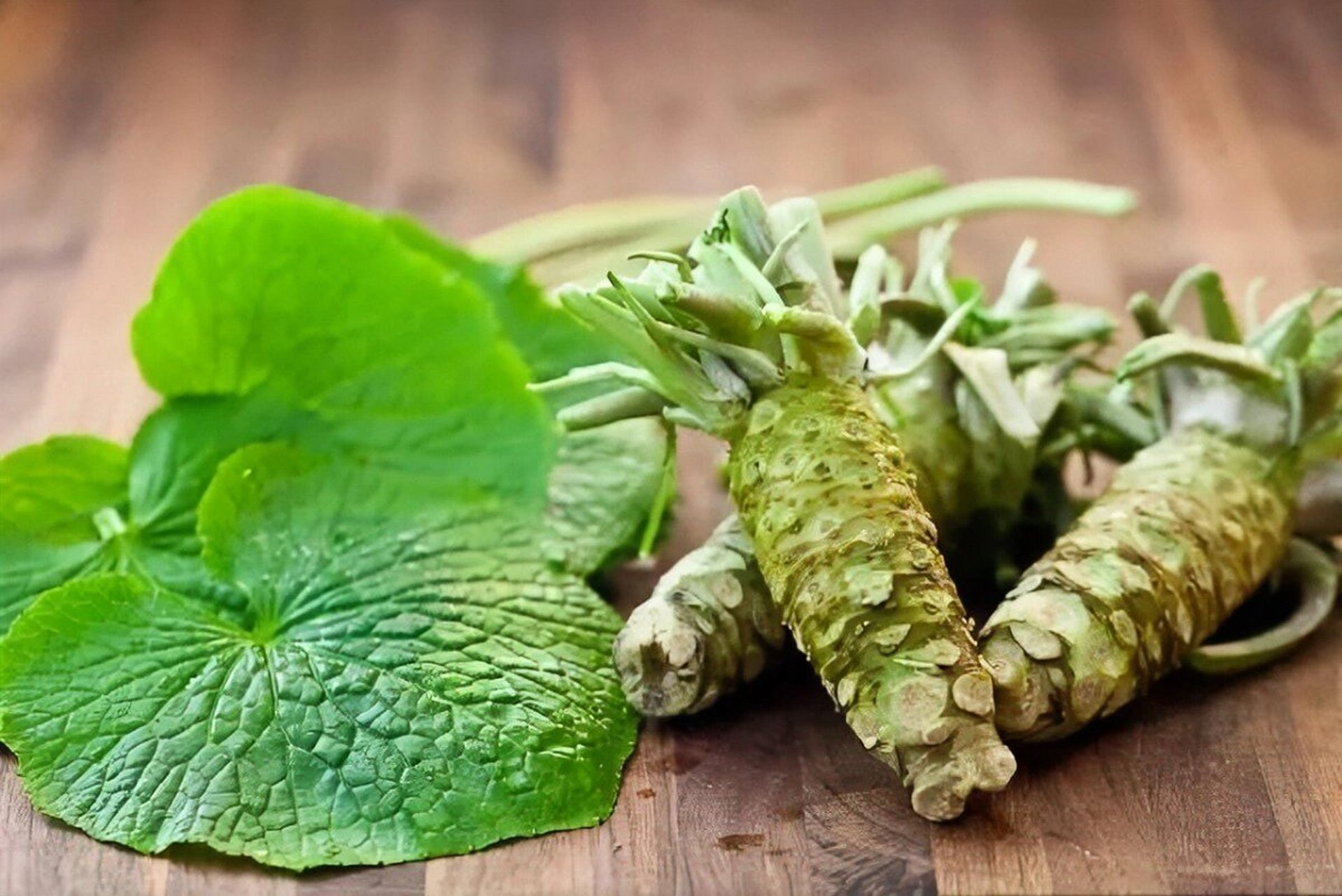 中文都叫芥末(确实有些不好区分) 日语:わさび(wasabi);から(karashi