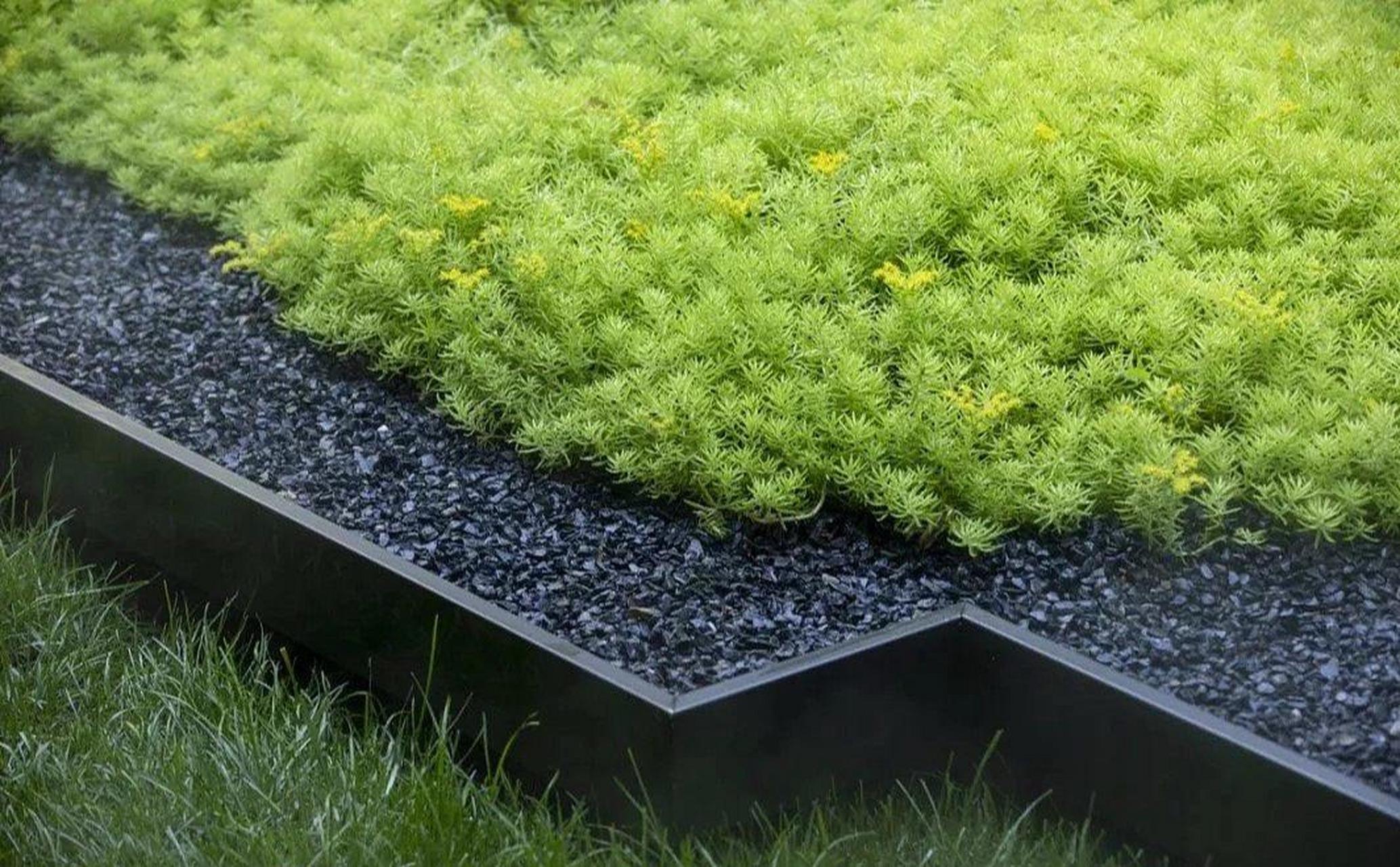 现代庭院|设计师推荐植物_佛甲草6015 设计师强烈推荐植物-佛甲草