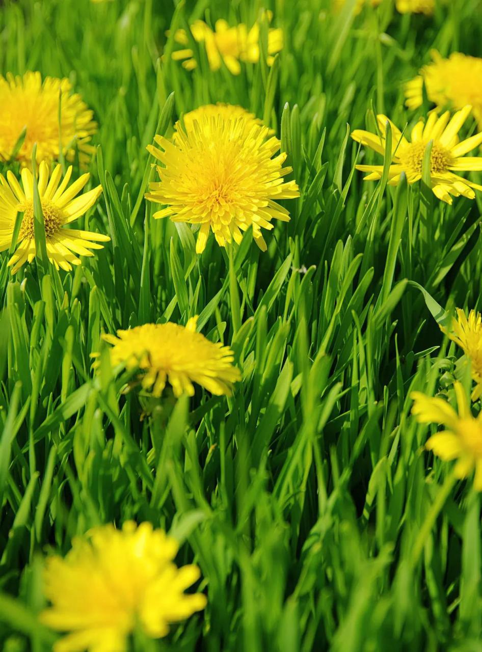 传统零售店由店员介绍产品,人事预算不足,店员人数和