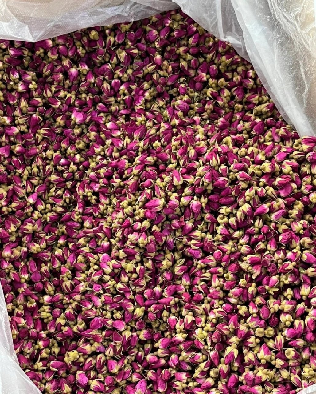 甘肃苦水玫瑰7815 98据《中国药典》记载 	 7815玫瑰花:行