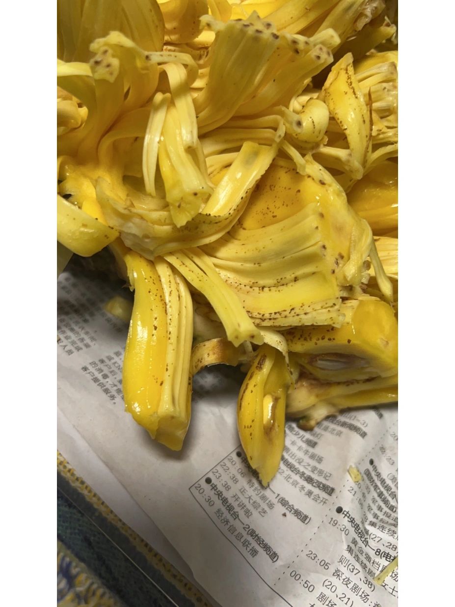 求助帖 菠萝蜜的这个棕点是什么?