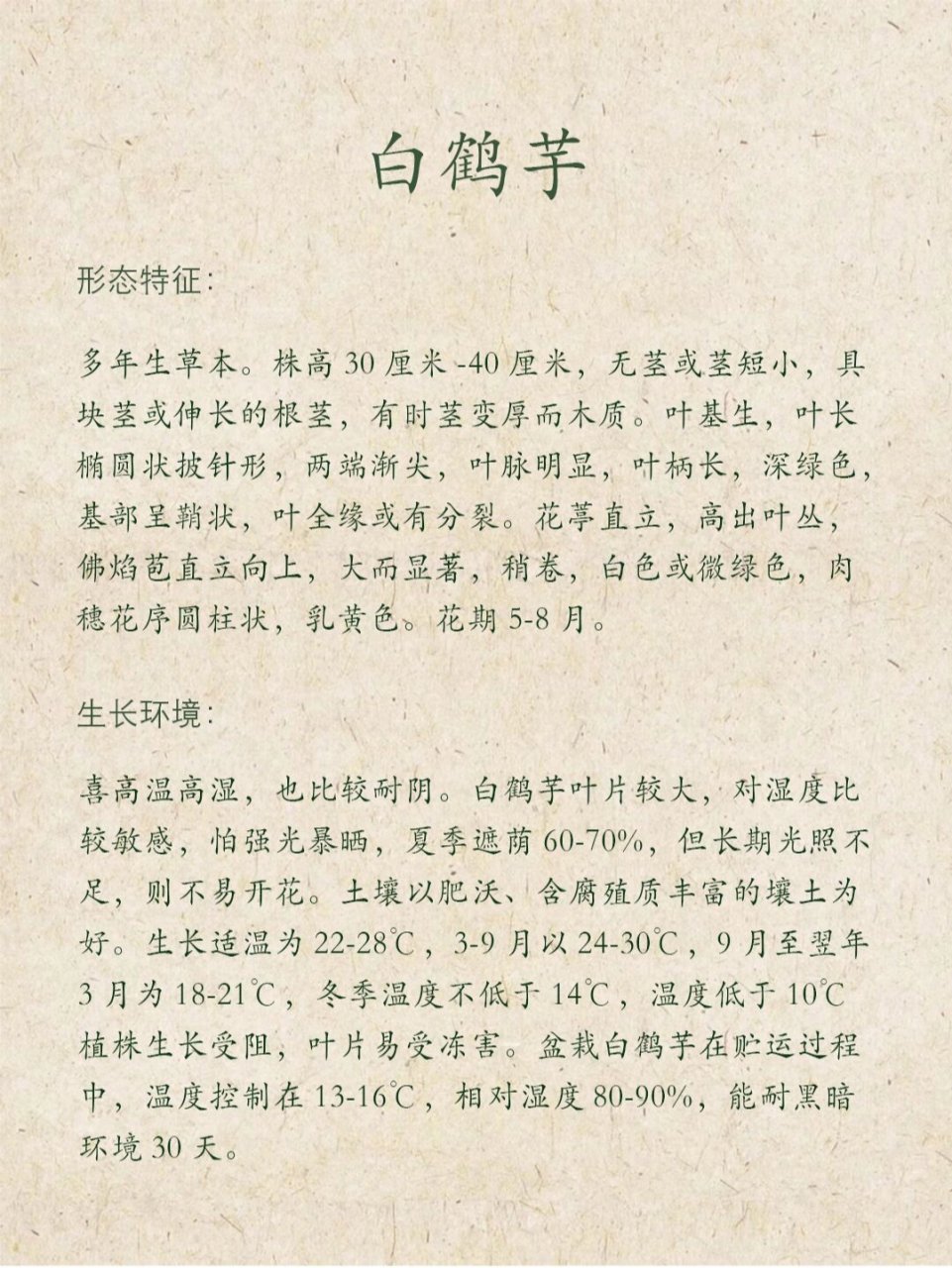 植物养护 i 白鹤芋 今日介绍:白鹤芋91 花语94:一帆风顺,事业有成
