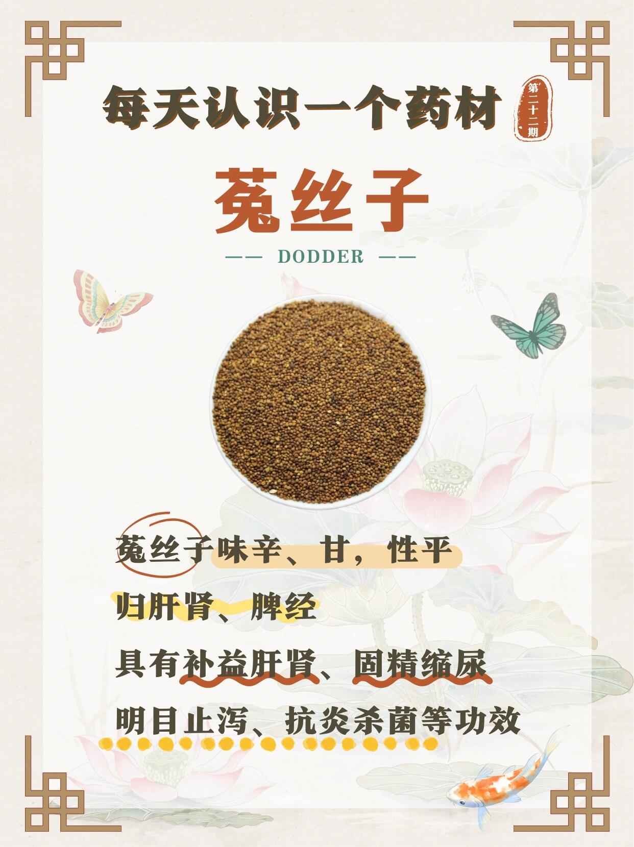 菟丝子 药用价值图片