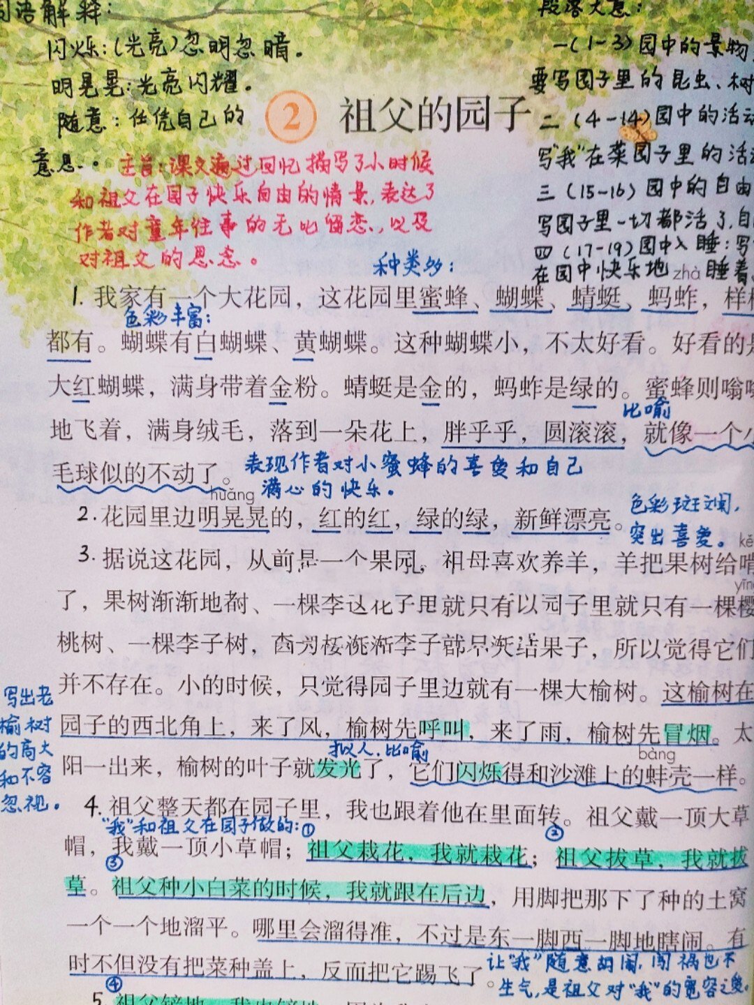 祖父的园子课文笔记图片