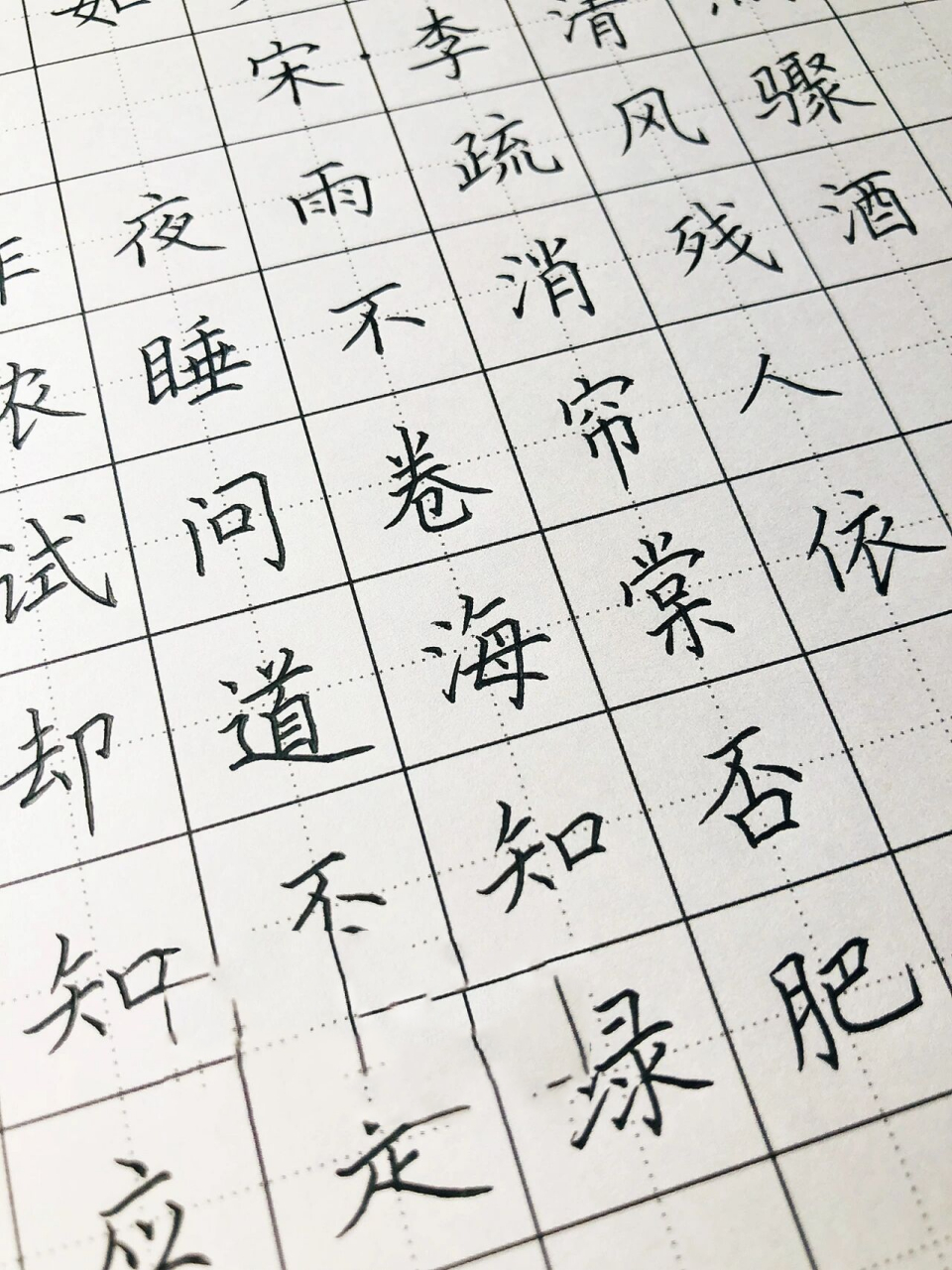 手写丨硬笔楷书 李清照《如梦令》 昨夜雨疏风骤, 浓睡不消残酒.