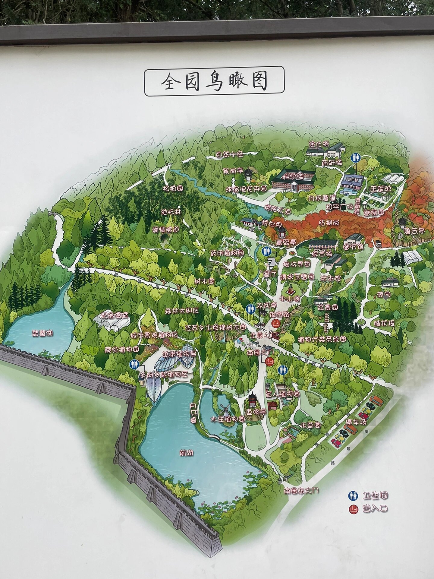 中山植物园 南园北园都去了 更爱北园一点