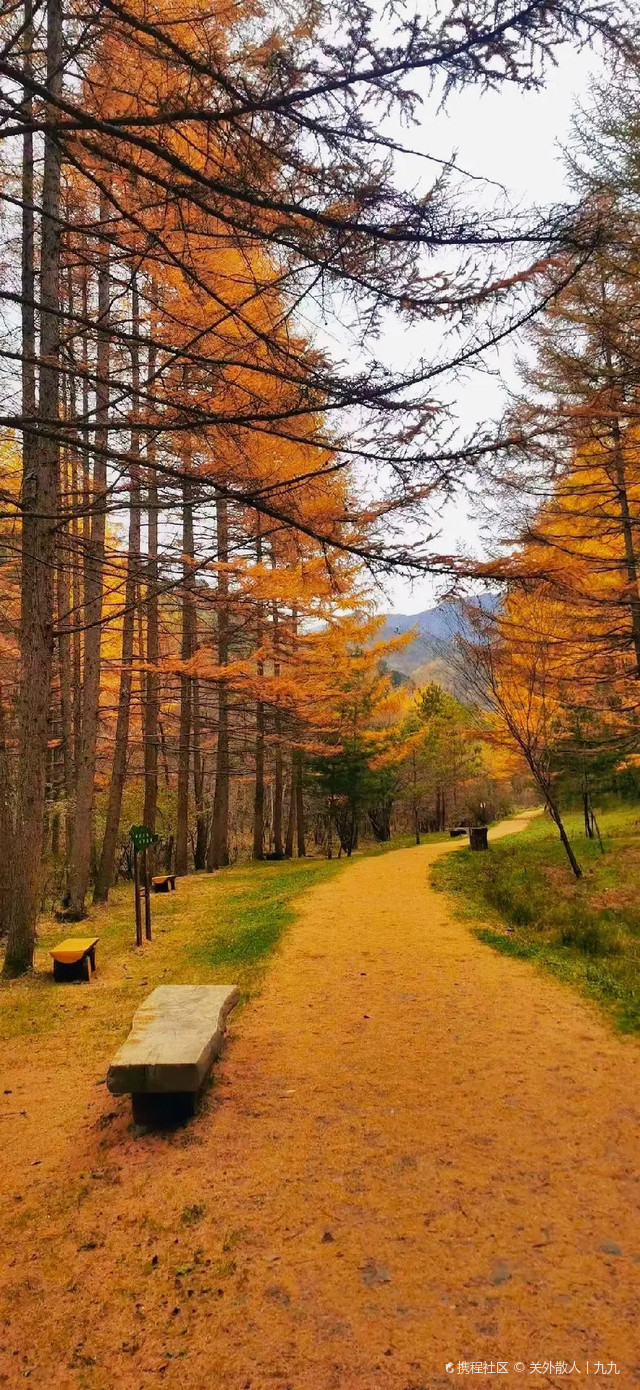 西安市秦岭大坝沟景区