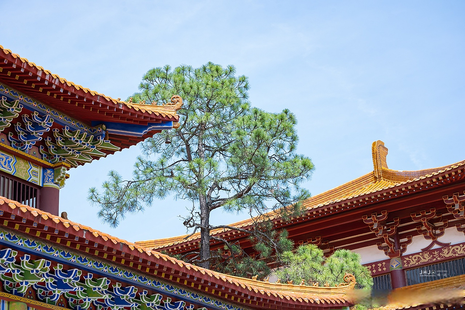 武汉的嵩阳寺,花木葱郁,晨钟暮鼓,香烟缭绕.