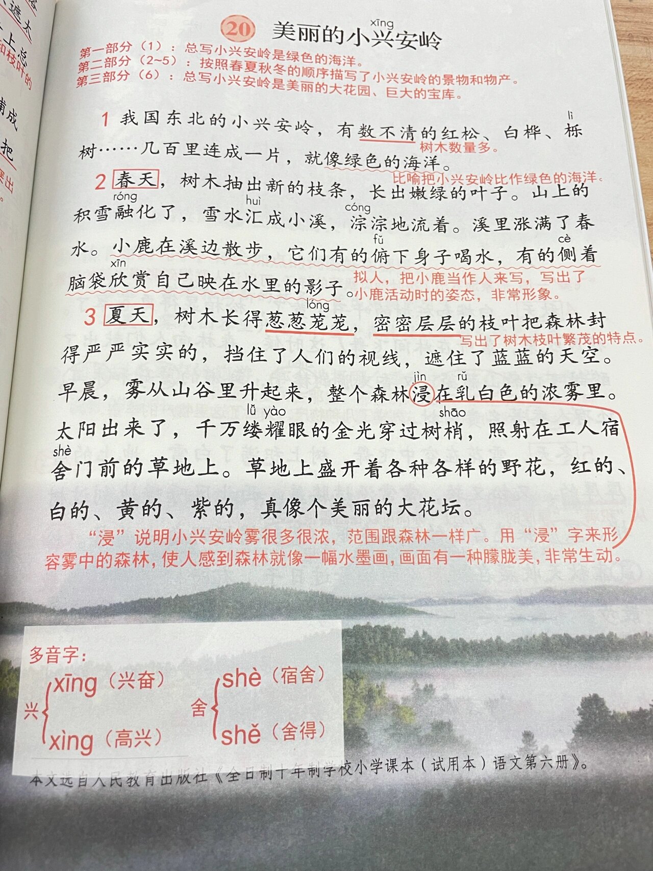 三年级上册语文|《20美丽的小兴安岭》