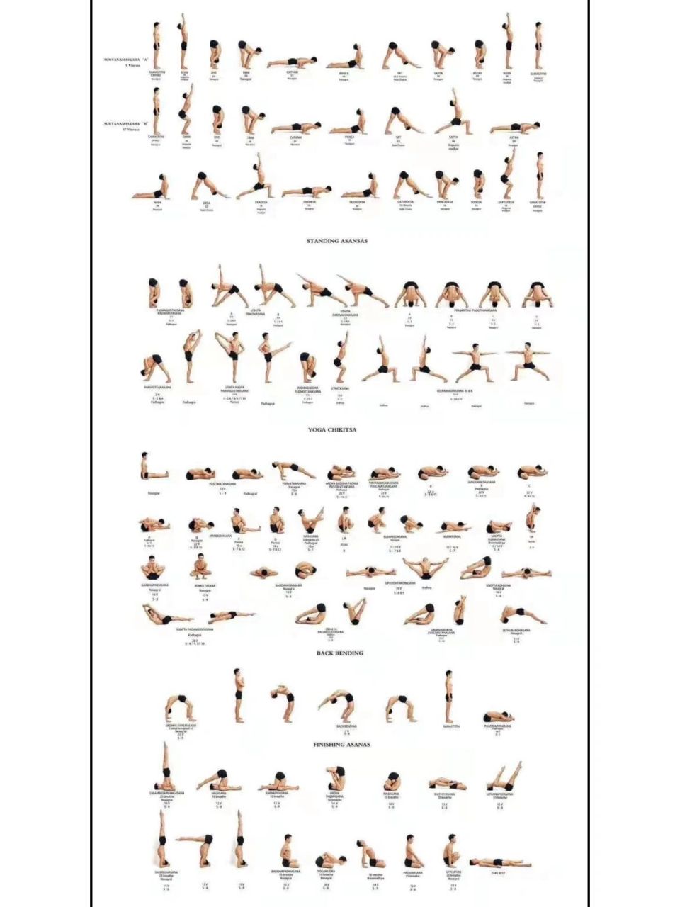 mysore瑜伽体式图图片