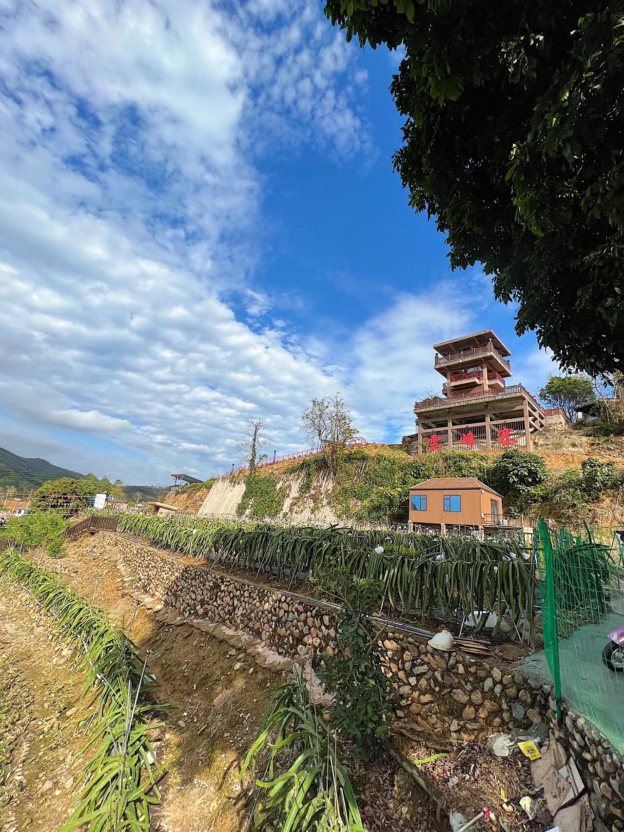 99漳浦县南浦乡后坑村88号 96云峰寨景区 	 距离漳州30多公里