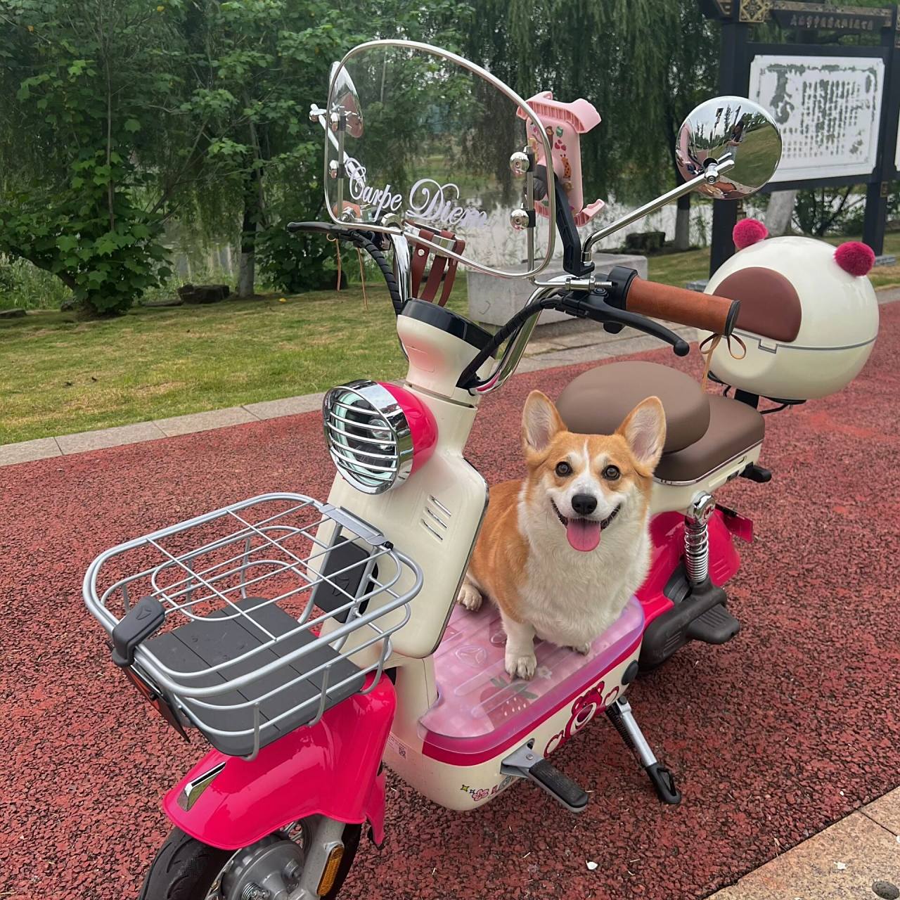 雅迪摩登改造～ 一步一步把爱车改成自己喜欢的模样 太爱我的车车啦!