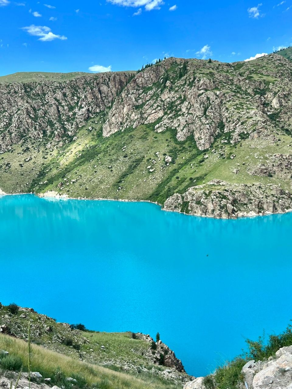 新疆昭苏玉湖|遇见夏日的蓝湖97免费打卡地 玉湖就在昭苏附近,离