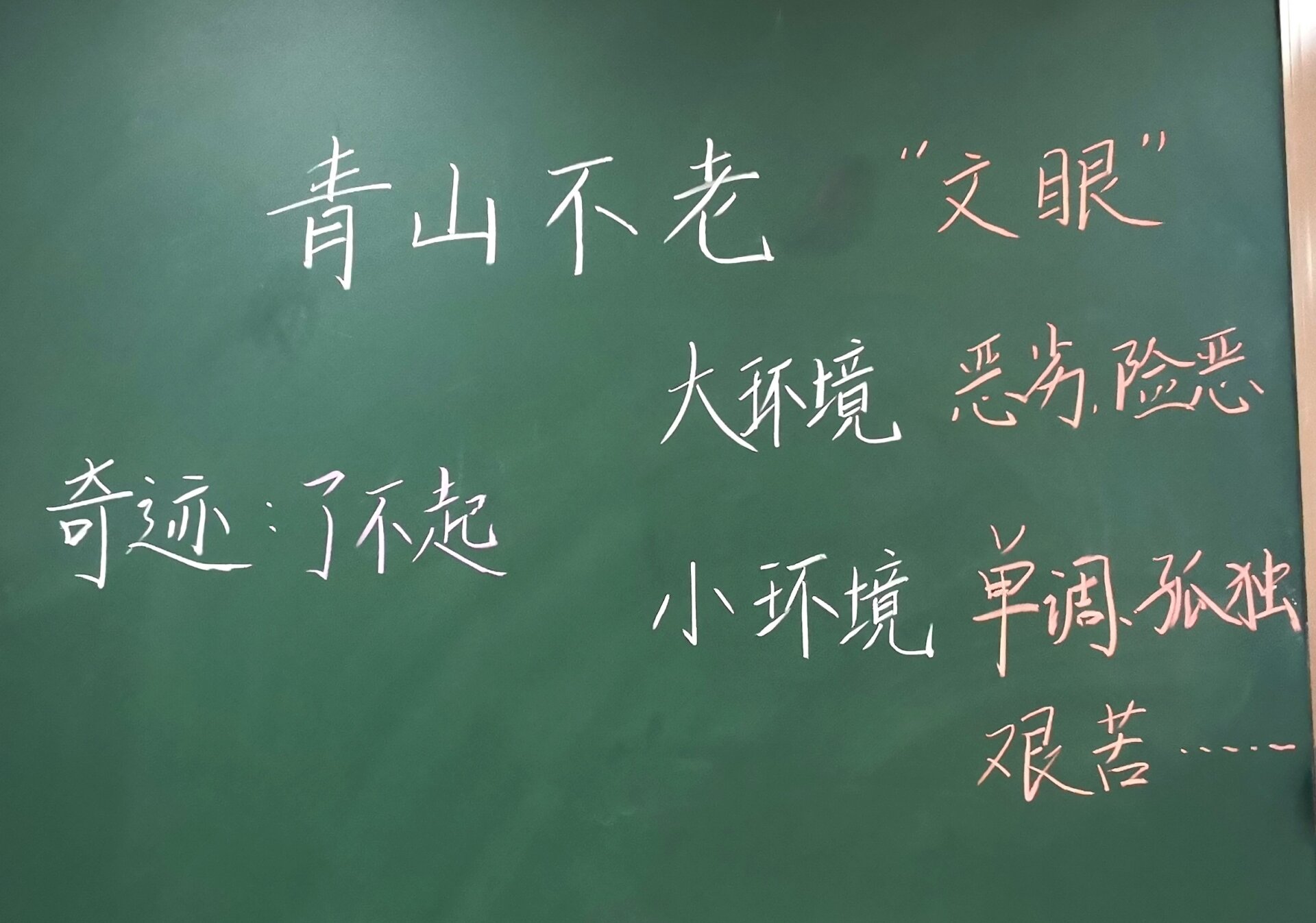 部编六上《青山不老》板书设计 青山绿树,代代常绿.