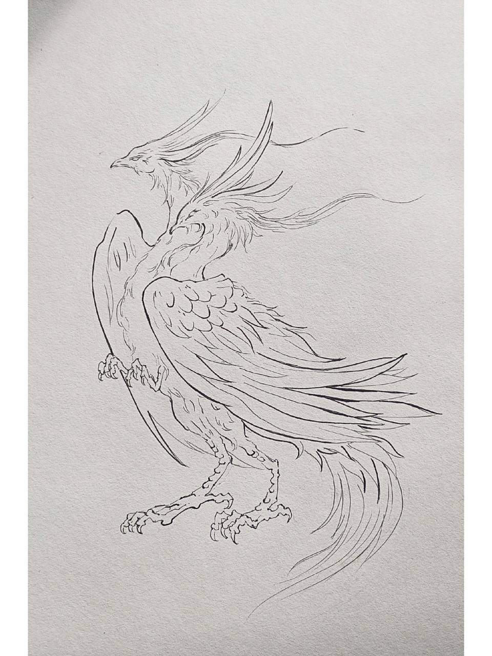 山海经异兽"鸓"线稿临摹 《山海经.
